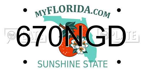 670NGD Florida License Plate