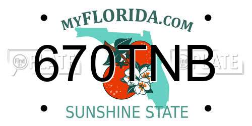 670TNB Florida License Plate