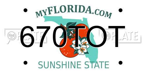 670TOT Florida License Plate