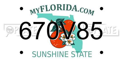 670V85 Florida License Plate