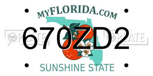 670ZD2 Florida License Plate