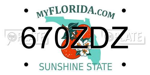 670ZDZ Florida License Plate