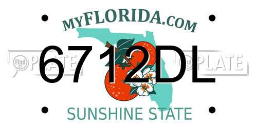 6712DL Florida License Plate