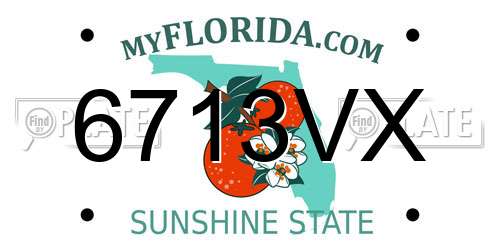 6713VX Florida License Plate