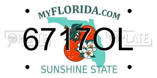 6717OL Florida License Plate