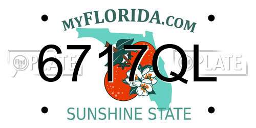 6717QL Florida License Plate