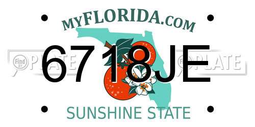 6718JE Florida License Plate