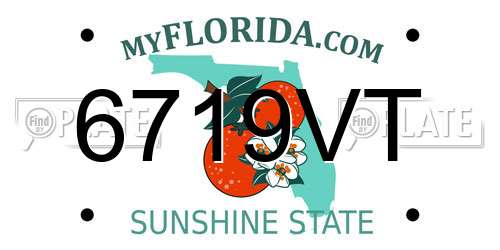 6719VT Florida License Plate