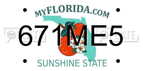 671ME5 Florida License Plate