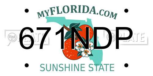 671NDP Florida License Plate