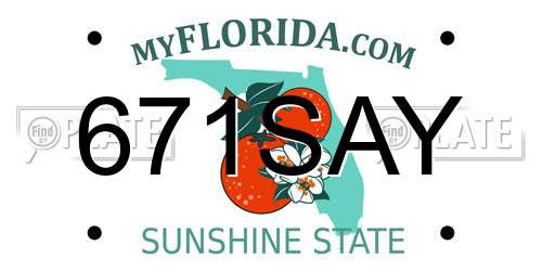 671SAY Florida License Plate