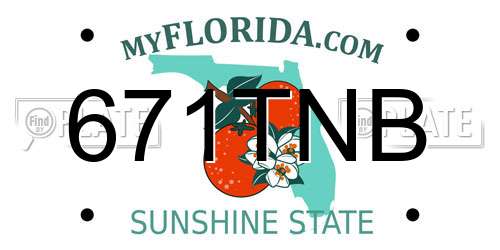 671TNB Florida License Plate