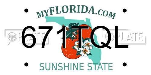 671TQL Florida License Plate
