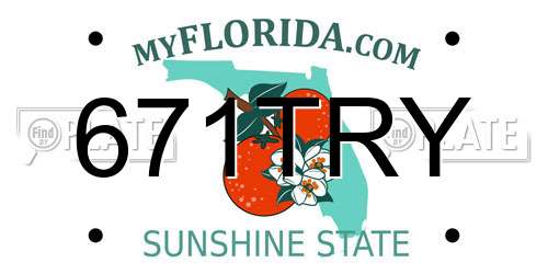671TRY Florida License Plate
