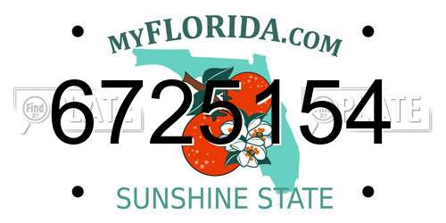 6725154 Florida License Plate