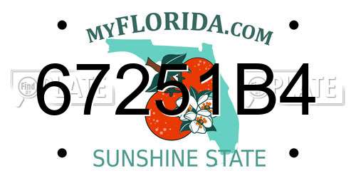 67251B4 Florida License Plate