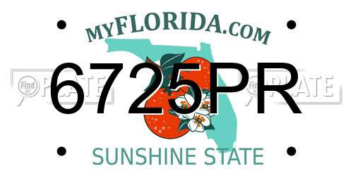 6725PR Florida License Plate