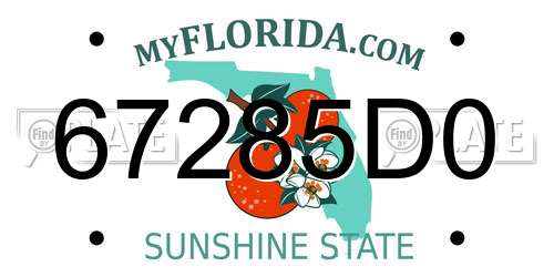 67285D0 Florida License Plate