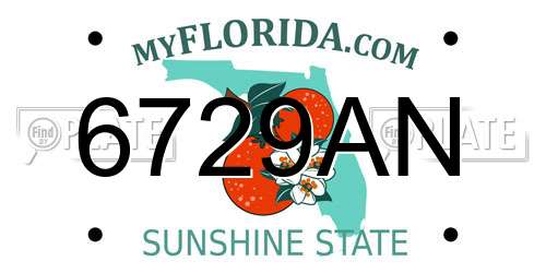 6729AN Florida License Plate