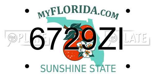 6729ZI Florida License Plate