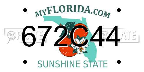 672C44 Florida License Plate