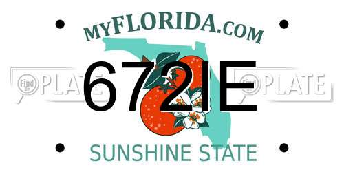 672IE Florida License Plate