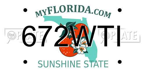 672WTI Florida License Plate