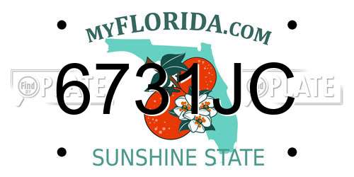 6731JC Florida License Plate