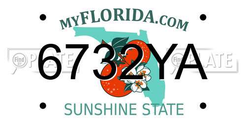 6732YA Florida License Plate