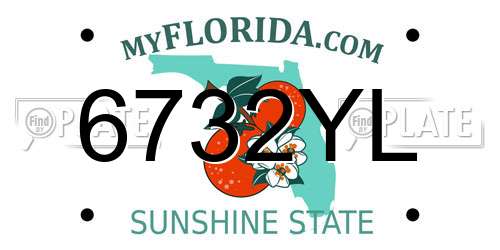 6732YL Florida License Plate