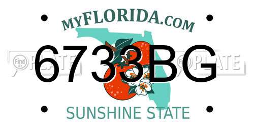 6733BG Florida License Plate