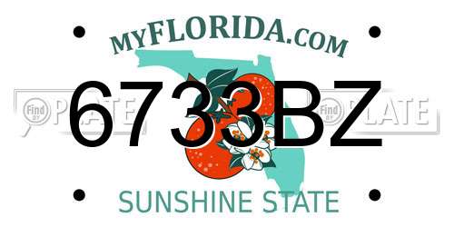 6733BZ Florida License Plate