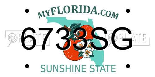 6733SG Florida License Plate