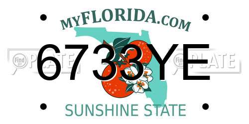 6733YE Florida License Plate