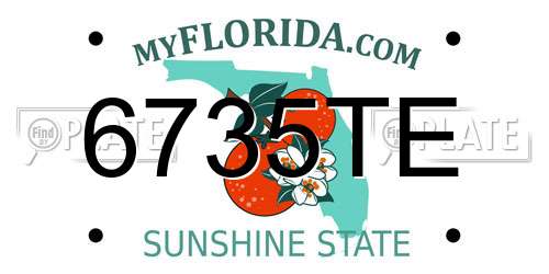 6735TE Florida License Plate