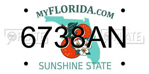6738AN Florida License Plate