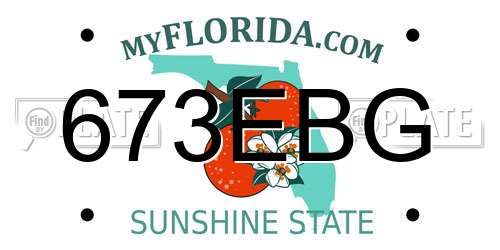 673EBG Florida License Plate