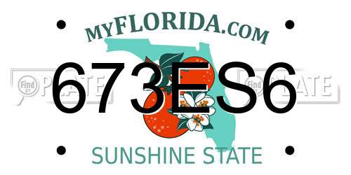 673ES6 Florida License Plate