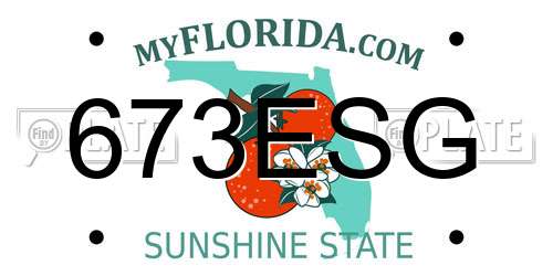673ESG Florida License Plate