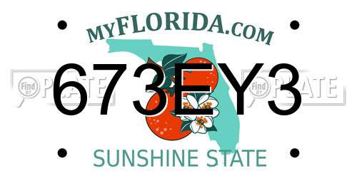 673EY3 Florida License Plate