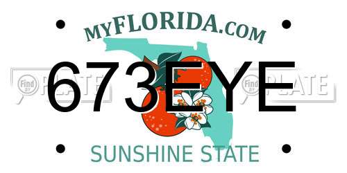 673EYE Florida License Plate
