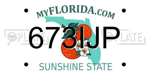 673IJP Florida License Plate