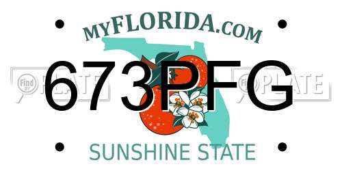 673PFG Florida License Plate