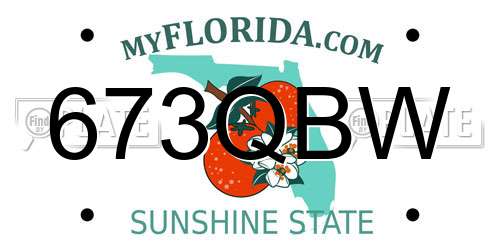 673QBW Florida License Plate