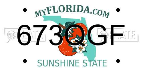 673QGF Florida License Plate