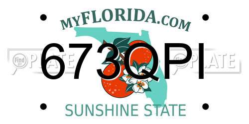 673QPI Florida License Plate
