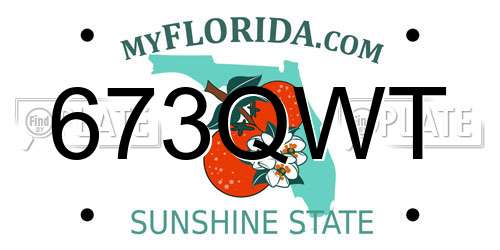 673QWT Florida License Plate