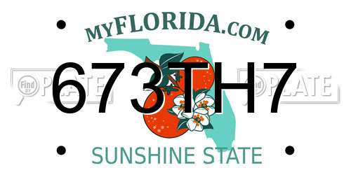 673TH7 Florida License Plate
