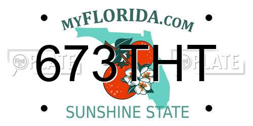 673THT Florida License Plate