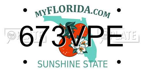 673VPE Florida License Plate
